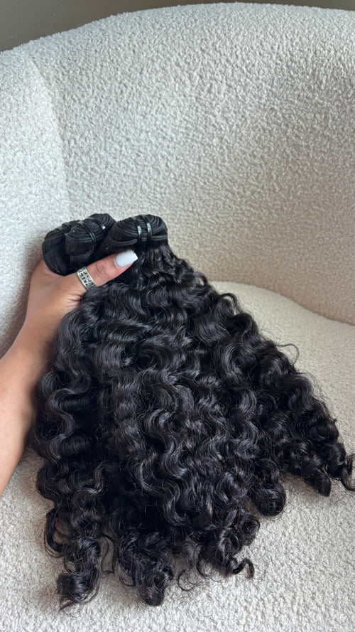Burmese Curly